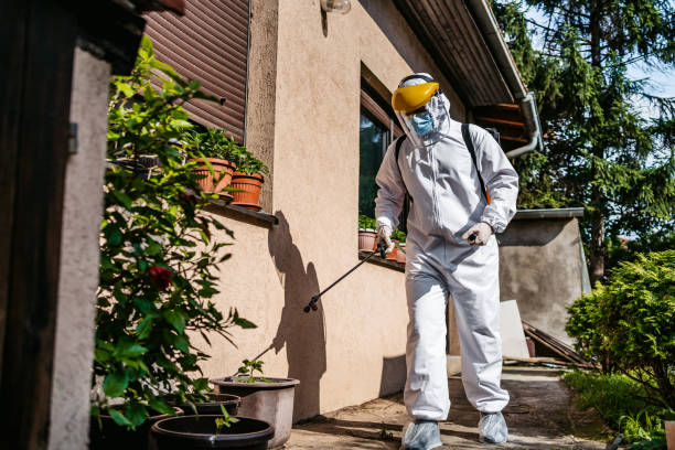 Best Residential Pest Control  in Worthgton, IN