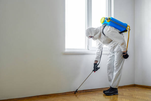 Best Pest Control for Homes  in Worthgton, IN