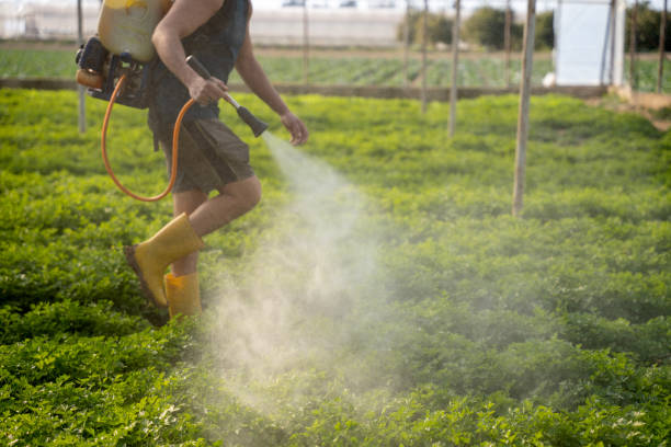 Pest Control for Restaurants in Worthington, IN