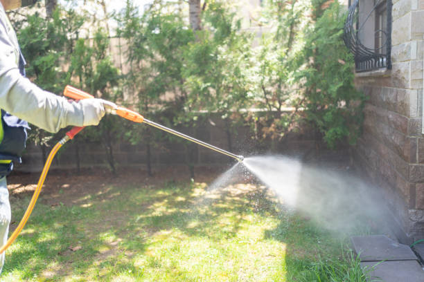 Best Insect Control  in Worthgton, IN