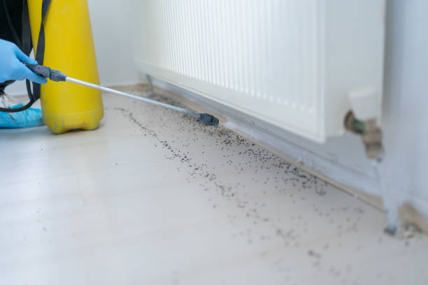 Best Commercial Pest Control Services  in Worthgton, IN